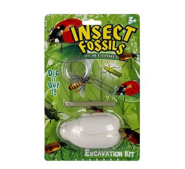 Edu Excavation Insect Fossil Kit Assorted