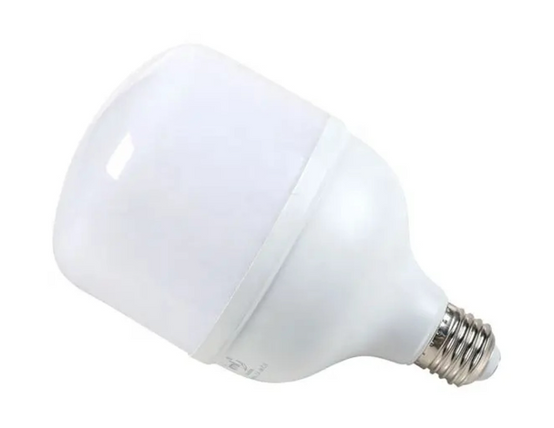 Reddison  Light Bulb B22