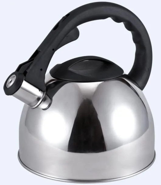 Stainless Steel Whistling Tea Kettle