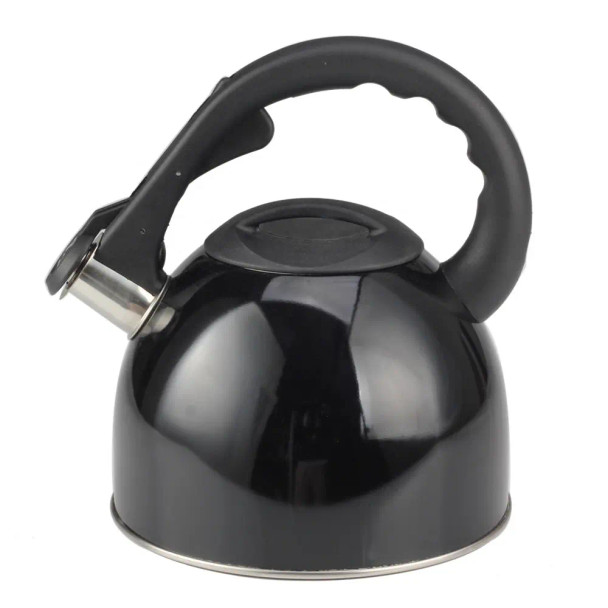 Stainless Steel Whistling Tea Kettle