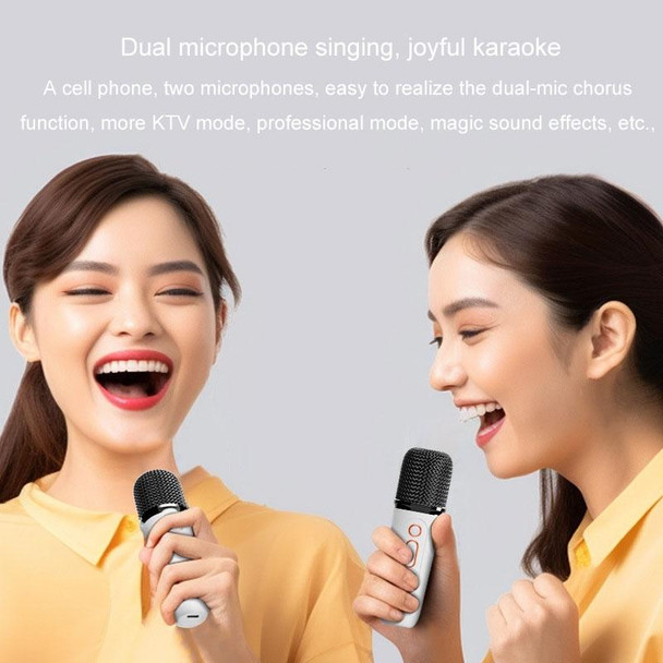 Y5 2 Microphone Portable Bluetooth Speaker Home And Outdoor Wireless Karaoke Audio(Black)