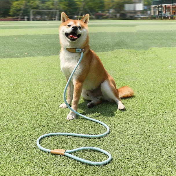 1.5m x 0.8cm Dog Traction Rope Mid Large Dog Universal Safety Buckle Chain Circle(Red White)