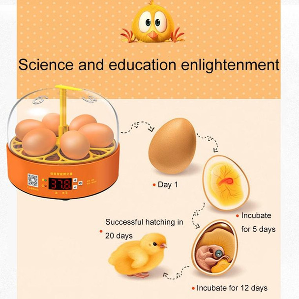 6-Eggs Small Household Experimental Children Smart Chicken Incubators, Spec: Dual-electric Automatic EU Plug