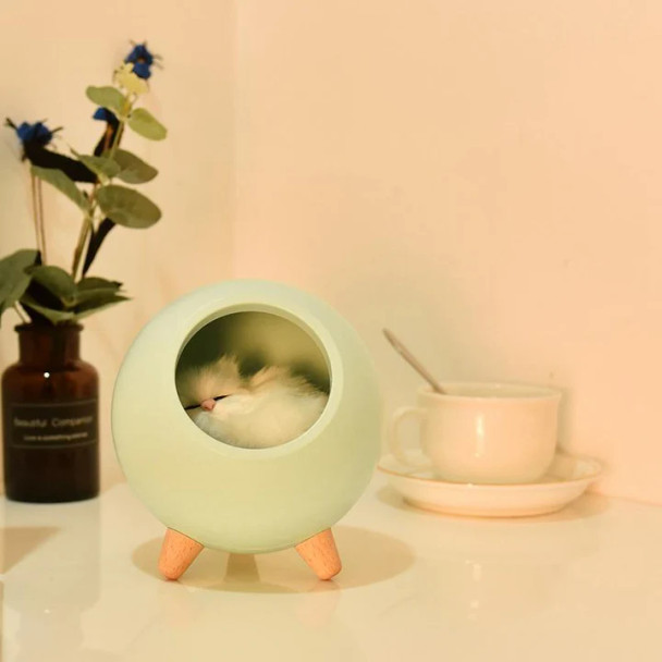 Cat House Lamp