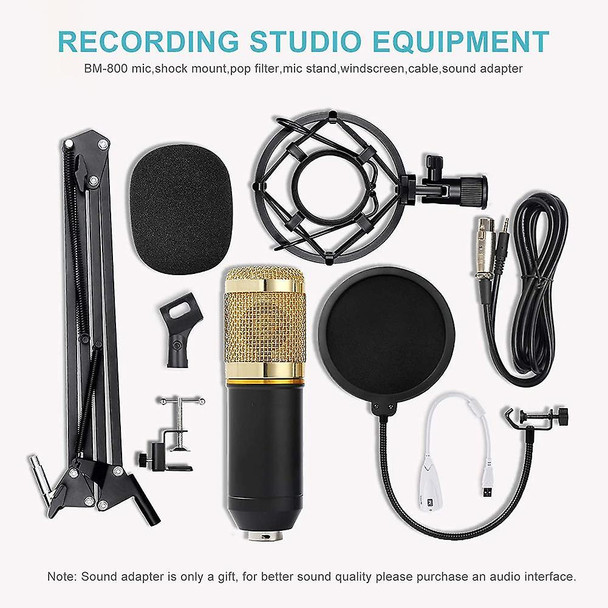 Studio Condenser Microphone Mic