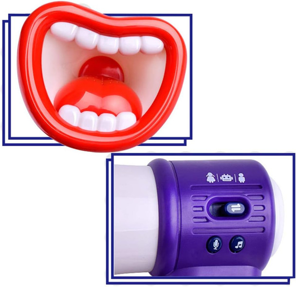 Voice Changing Amplifier