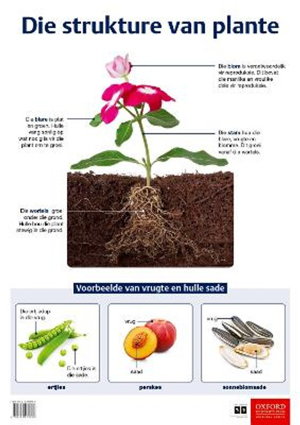 Die strukture van plante (Poster)