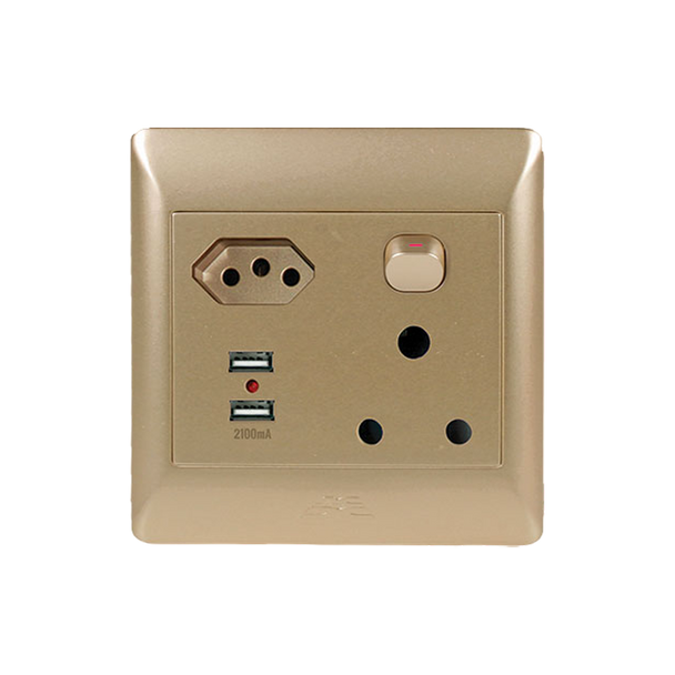 1x16A + 1 EURO + 2 USB SOCKET OUTLET 4x4 CHAMPAGNE COVER PLATE