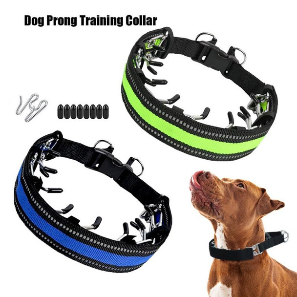 Pet Training Stimulating Chain Collar Anti-Burst Punch Dog Corral, Size: M(Grass Green)