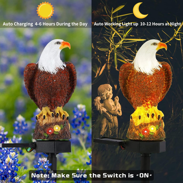 Outdoor Solar Bird Light