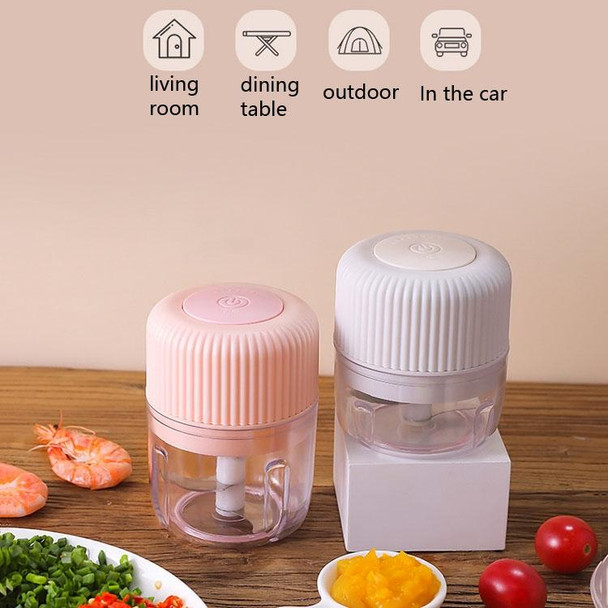Household Vegetable Cutting Electric USB Garlic Masher Baby Mini Cooking Machine Baby Food Supplement Machine, Style:100ml + 250ml(Pink)