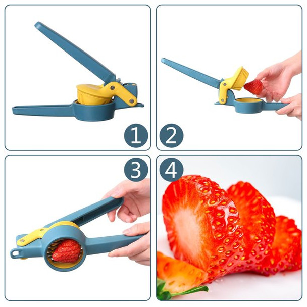 Multipurpose Slicer