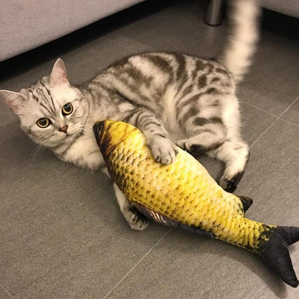 USB Charging Pet Simulation Fish Electric Cat Interactive Toy, Size30cn, Style:Crucian Carp