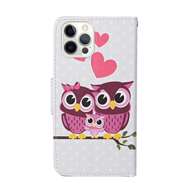 Colored Drawing Pattern Horizontal Flip Leatherette Case with Holder & Card Slots & Wallet - iPhone 12 Pro Max(Owl Family)