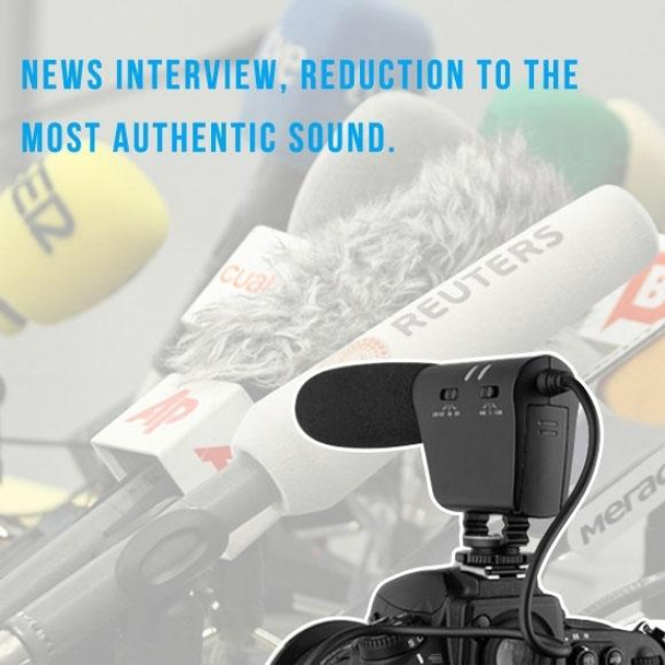 TAKSTAR SGC-598 Professional Photography Interview Dedicated Microphone for DSLR & DV Camcorder