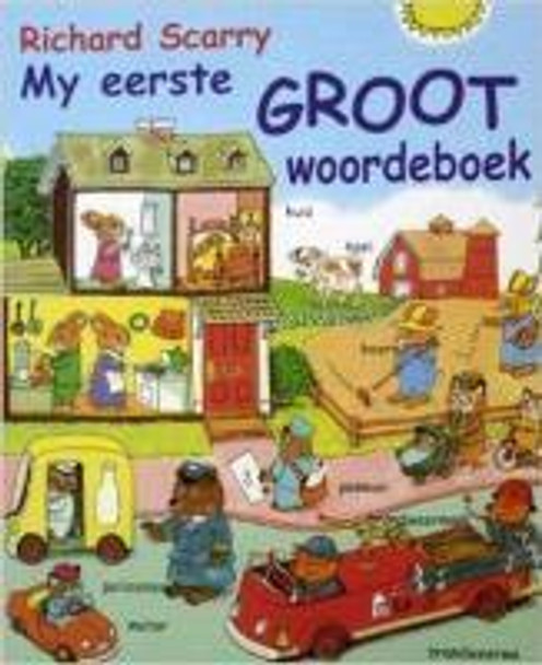 My eerste groot woordeboek