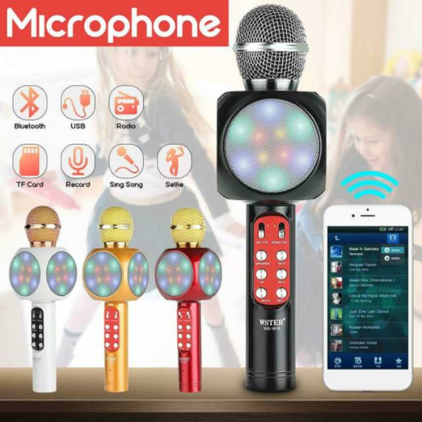 Multi-Functional Karaoke Mic