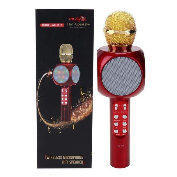 multi-functional-karaoke-mic-snatcher-online-shopping-south-africa-17783765368991.jpg