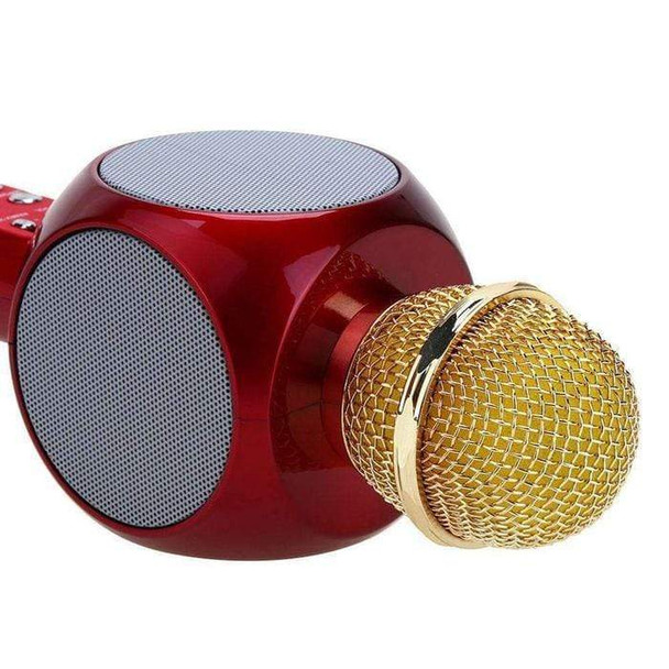 multi-functional-karaoke-mic-snatcher-online-shopping-south-africa-17783765631135.jpg