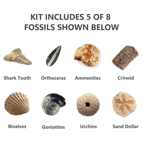 fossil-mining-kit-snatcher-online-shopping-south-africa-17781951070367.jpg