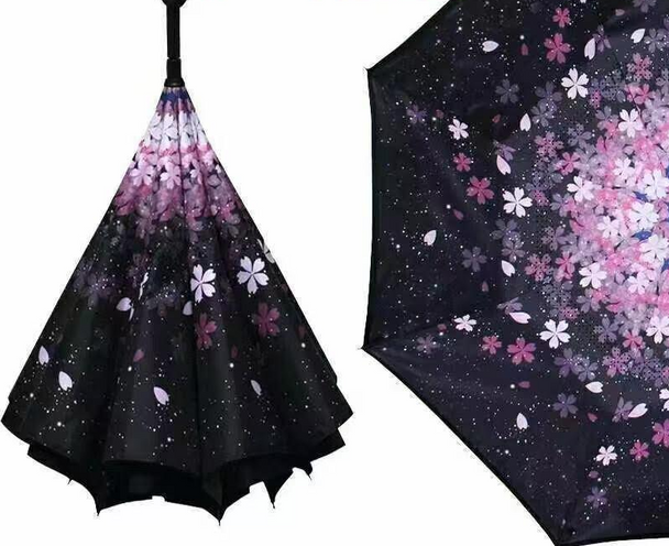 Reversible Umbrella With Design