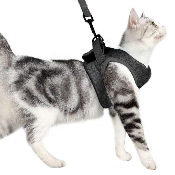 Cat Leash Pet Chest Harness Leash, Size: M(Grey)