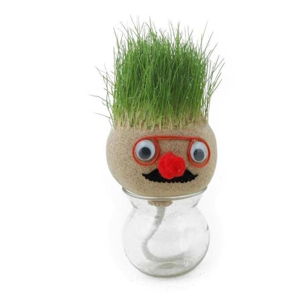 2x-growing-grass-head-dolls-snatcher-online-shopping-south-africa-17785654083743.jpg