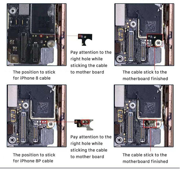 Home Button (5th gen) with Flex Cable for iPhone 8 Plus / 7 Plus / 8 / 7 (Gold)