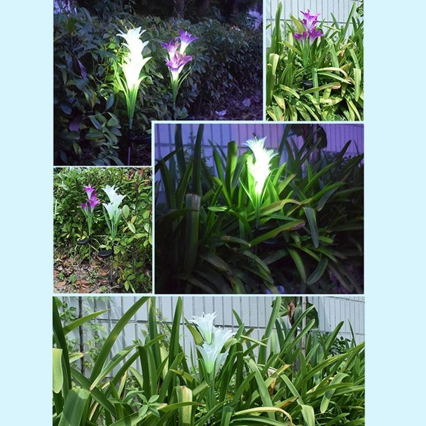 Simulated Lily Flower 4 Heads Solar Powered Outdoor IP55 Waterproof LED Decorative Lawn Lamp, Colorful Light (White)