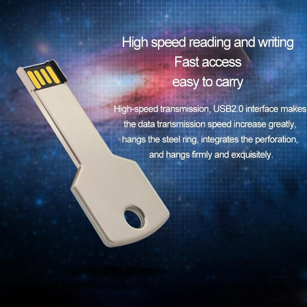 256MB USB 2.0 Metal Key Shape USB Flash Disk