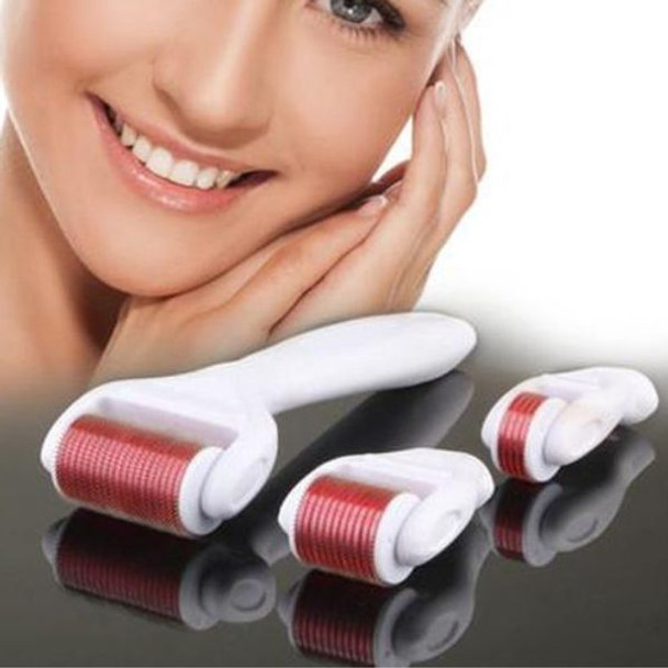 4-In-1 Derma Roller