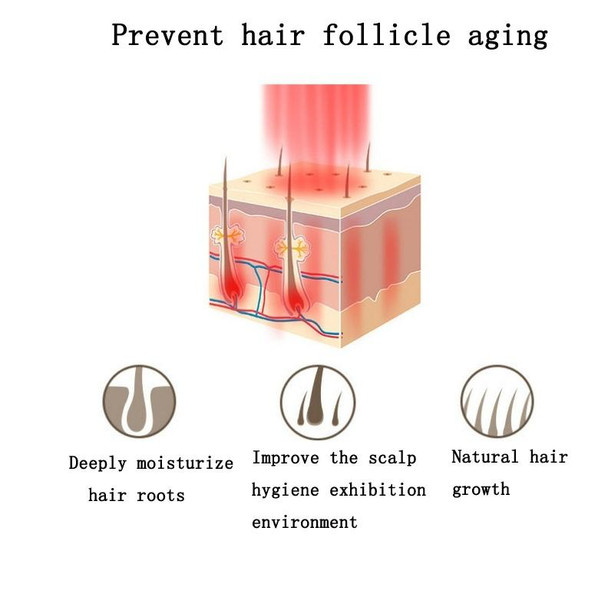 RF Hair Growth Comb Scalp Oil Control & Anti-Hair Loss Massager English Manual(Golden)