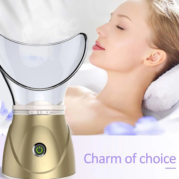 Facial Steamer