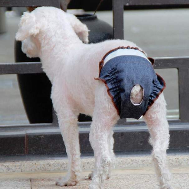 Anti-sorrow Female Dog Physiological Pants Urine-proof And Wet Pet Leak-proof Underwear, Size:M