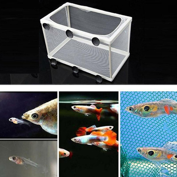 Large Aquarium Incubator Small Fish Isolation Box Net Tropical Fish Breeding Box