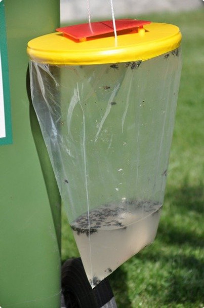 Eco-Friendly Liquid Fly Trap & Attractant - Traps 20,000 Flies