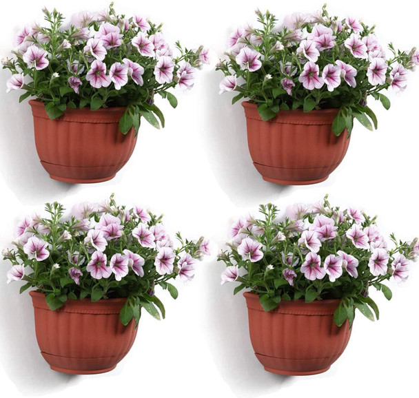 set-of-3-plastic-wall-mount-planters-snatcher-online-shopping-south-africa-28488438087839.jpg