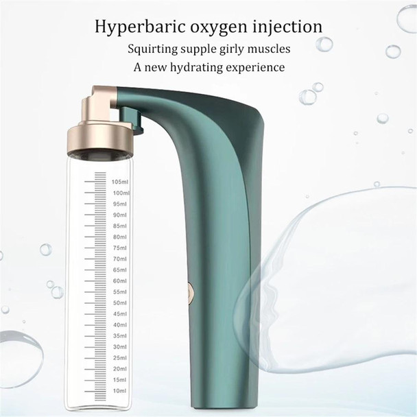 Handheld High Pressure Oxygen Injector Portable Large Spray Facial Moisturizer Household Moisturizing Beauty Equipment, Colour: Electroplated Gold