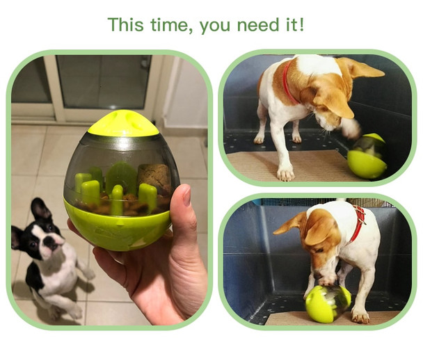 Pet Treat Interactive Ball