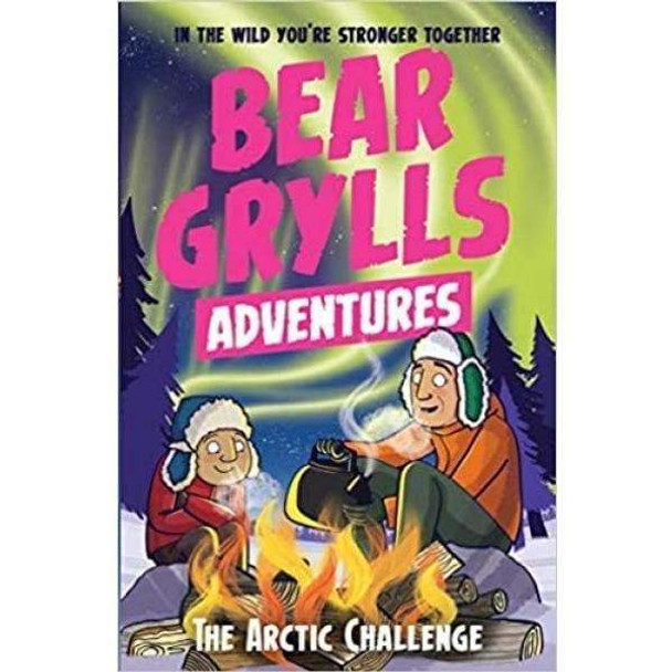 Bear Grylls Adventure - Arctic Challenge