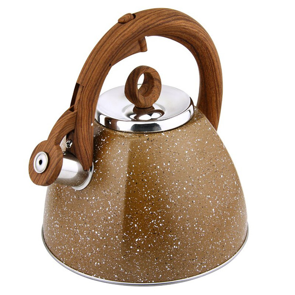 Stainless Steel Modern Whistling Kettle