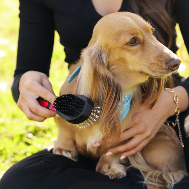 2-in-1 Reversible Pet Brush