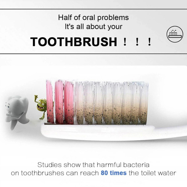 3 in 1 Toothbrush Holder