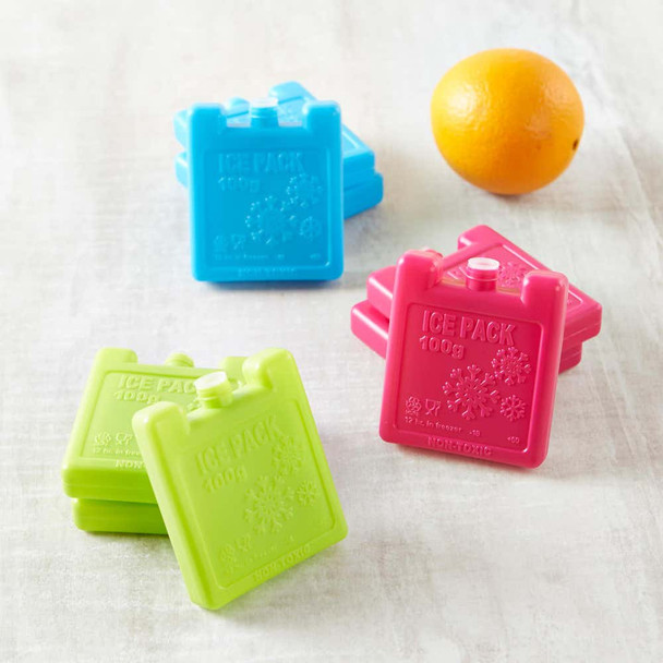 Set of 3 Mini Ice Brick Packs