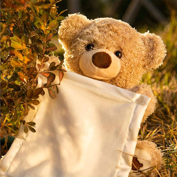 Peek A Boo Teddy Bear