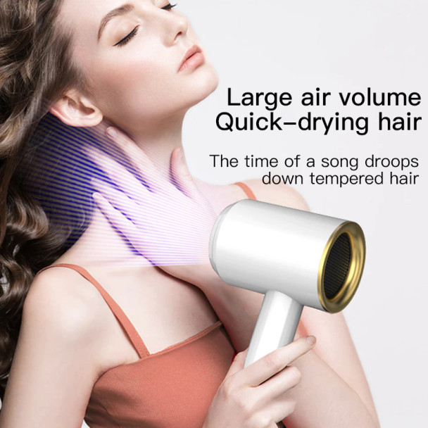 Electric Hair Dryer