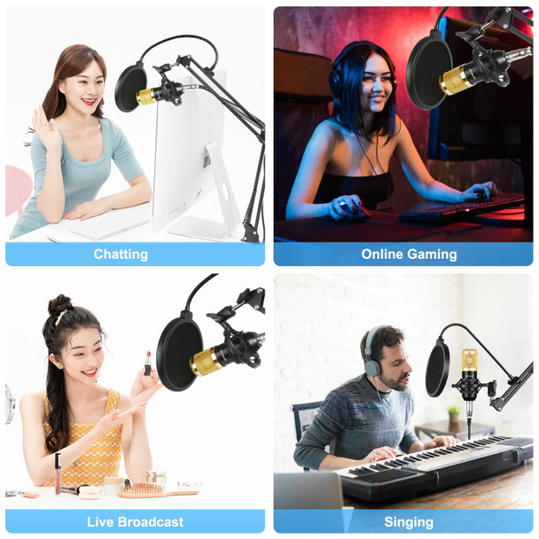 PULUZ Condenser Microphone Studio Broadcast Professional Singing Microphone Kits with Suspension Scissor Arm & Metal Shock Mount & USB Sound Card(Gold)