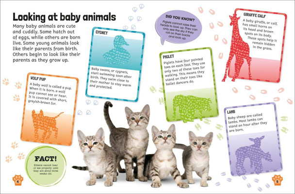 Baby Animals Sticker Encyclopedia