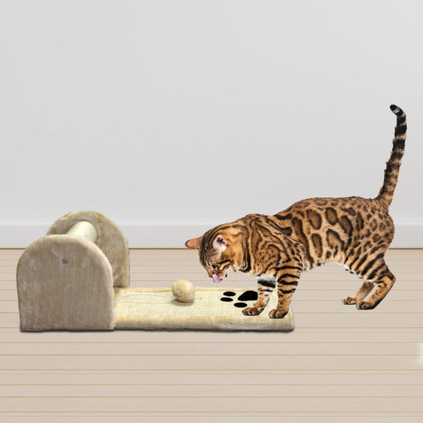 Rex-Rolling Paw Cat Scratcher