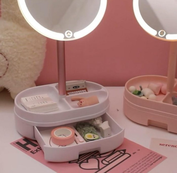 LED Vanity Mirror with Organizer